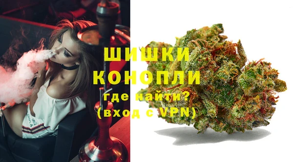 PSILOCYBIN Осинники