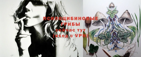 PSILOCYBIN Осинники