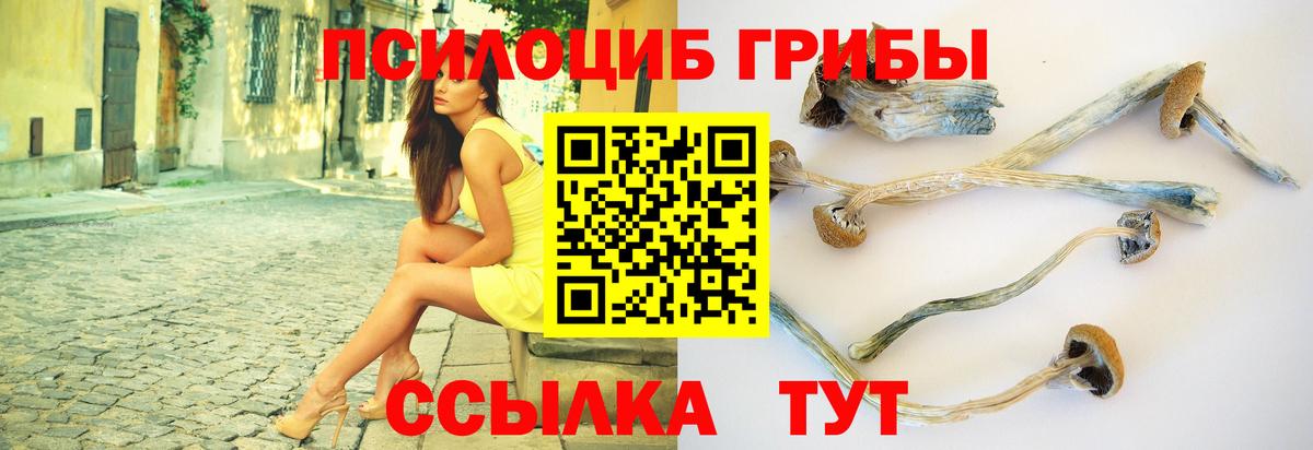 Псилоцибиновые грибы прущие грибы  Галлюциногенные грибы мицелий  Вход с VPN  Белебей 
