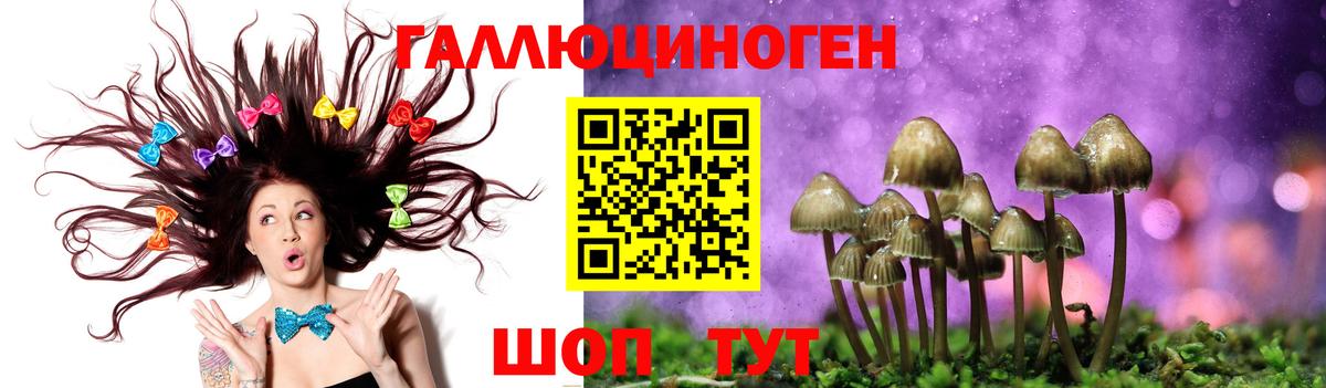 Галлюциногенные грибы Psilocybine cubensis Белебей